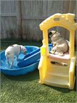 daycare pic 59 - play time